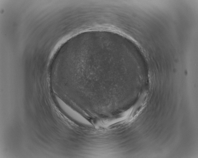 X0000076391506200610271540