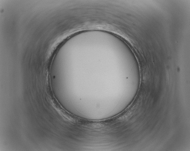 X0000076391507200610271540