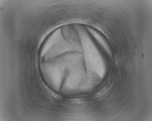 X0000076391508200610271540