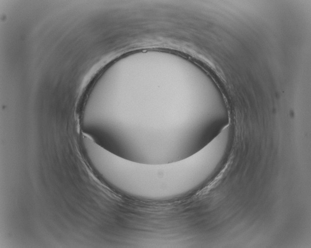 X0000076391509200610271540