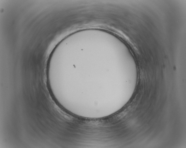 X0000076391512200610271540