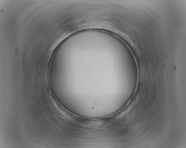 X0000076391513200610271540