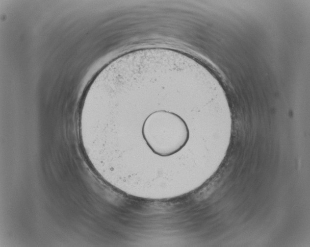 X0000076391514200610271540