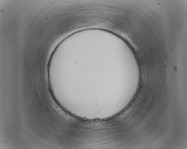 X0000076391516200610271540