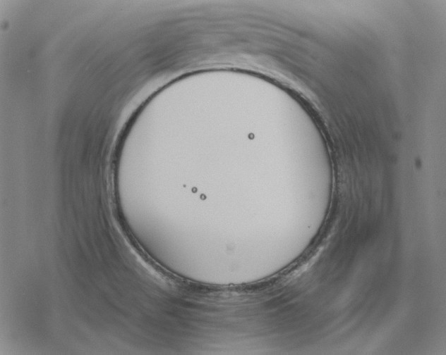 X0000076391517200610271540