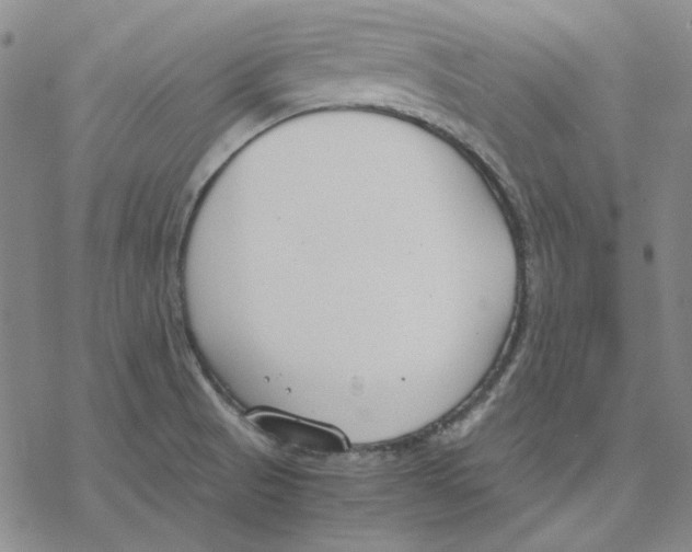 X0000076391521200610271540