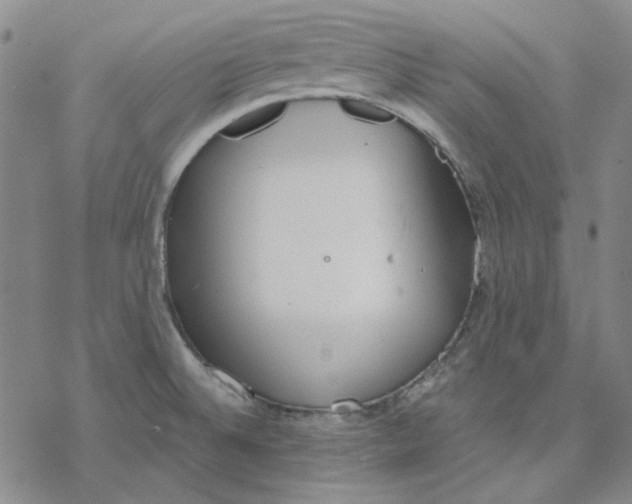 X0000076391524200610271540