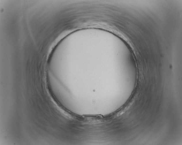 X0000076391525200610271540