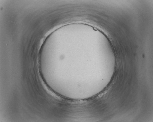 X0000076391526200610271540