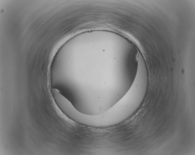 X0000076391528200610271540