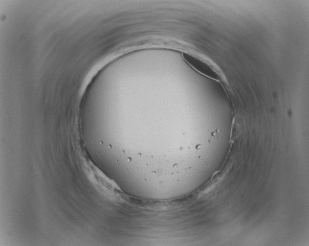 X0000076391530200610271540