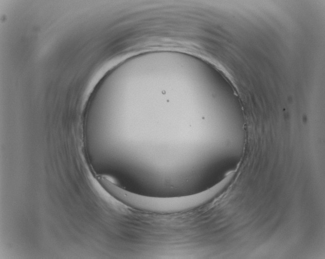 X0000076391531200610271540