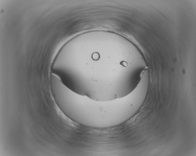 X0000076391532200610271540