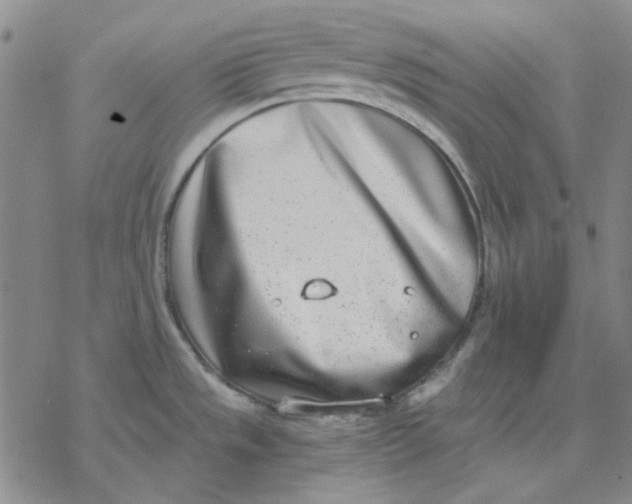 X0000076391533200610271540