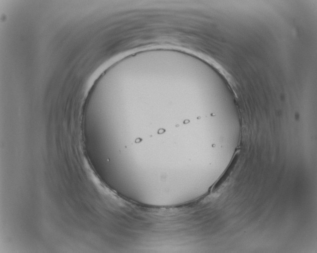 X0000076391534200610271540