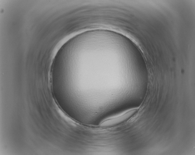 X0000076391535200610271540