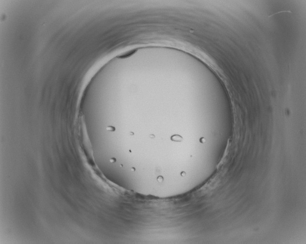 X0000076391536200610271540