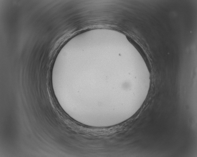 X0000076390001200611031707