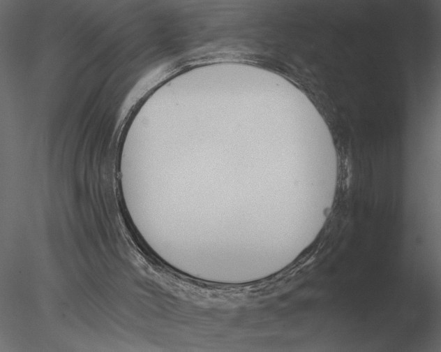 X0000076390004200611031707