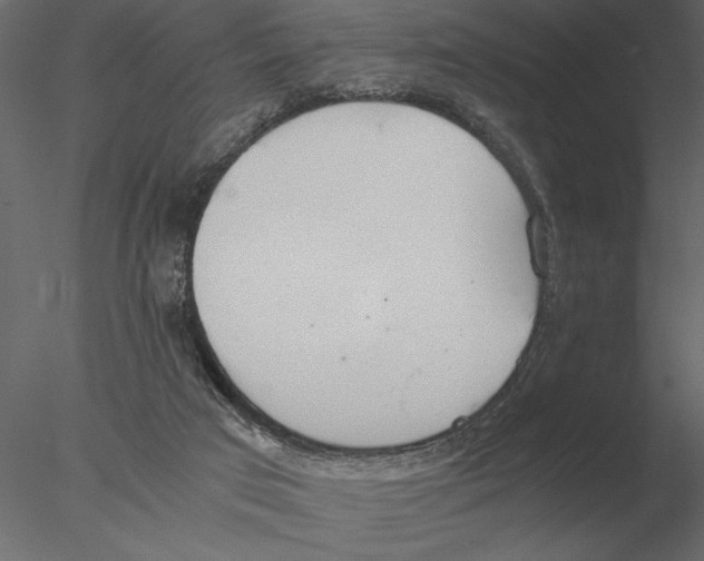 X0000076390017200611031707