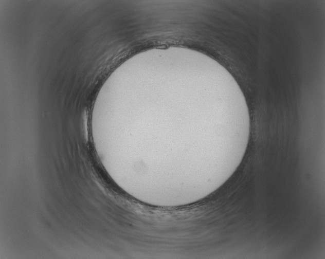 X0000076390022200611031707