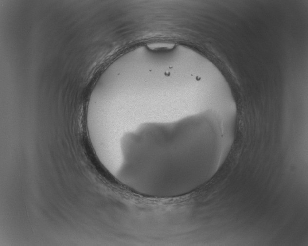 X0000076390023200611031707