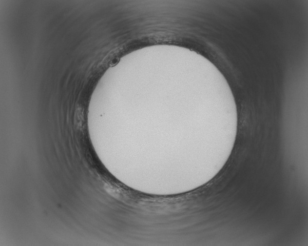 X0000076390025200611031707