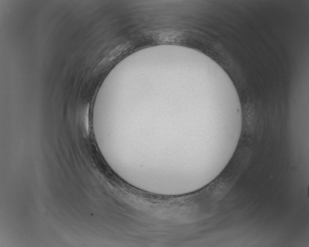 X0000076390028200611031707