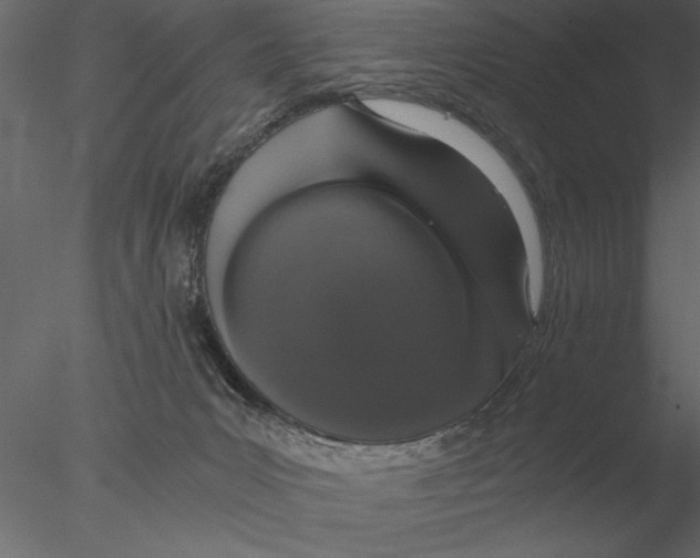 X0000076390031200611031707