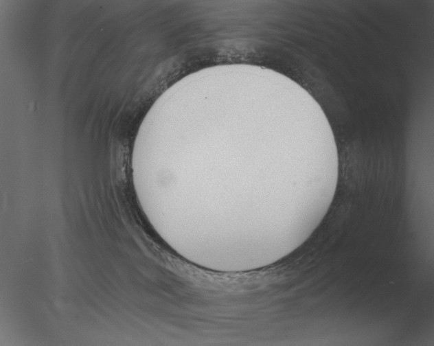 X0000076390038200611031706