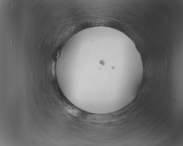 X0000076390041200611031706