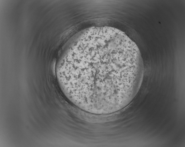 X0000076390047200611031706