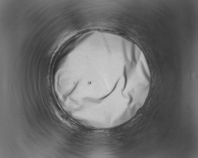 X0000076390050200611031705