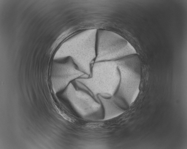 X0000076390051200611031706