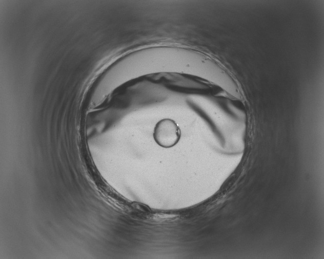 X0000076390055200611031706