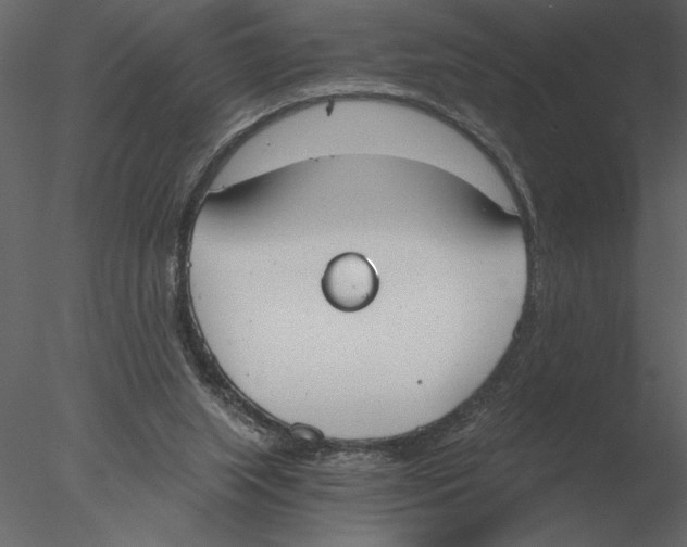 X0000076390063200611031706