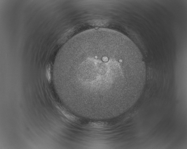 X0000076390069200611031706