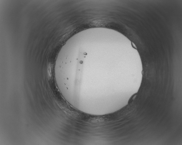 X0000076390075200611031706