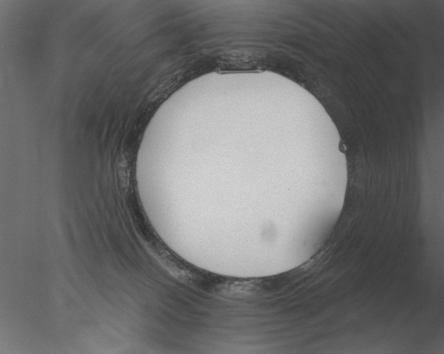 X0000076390086200611031706