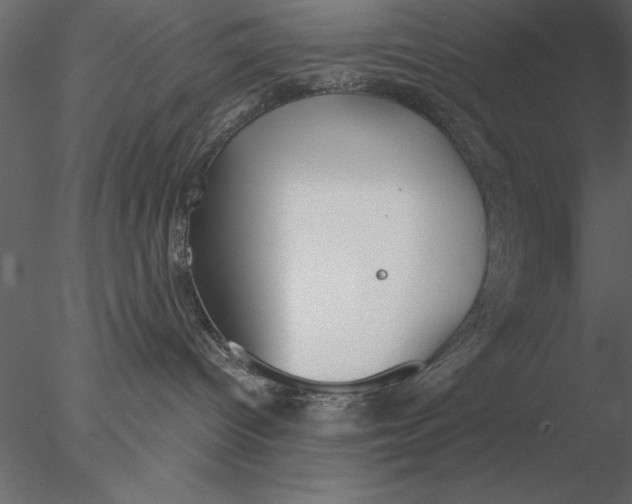 X0000076390096200611031706