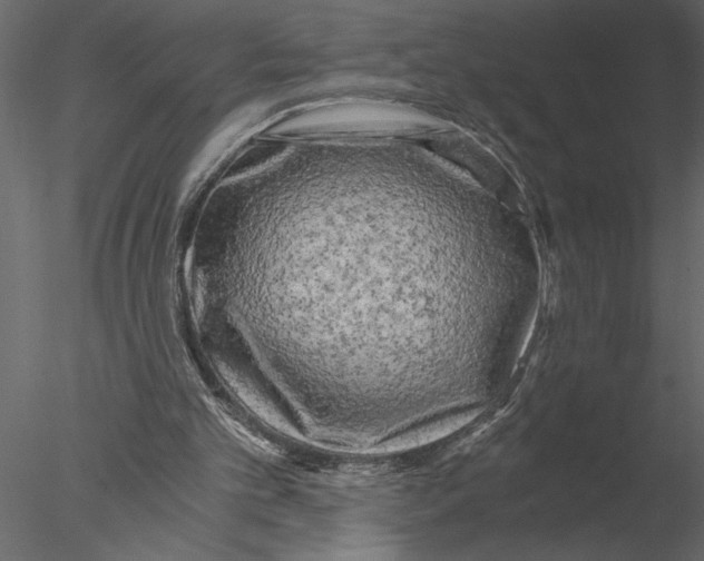 X0000076390101200611031705