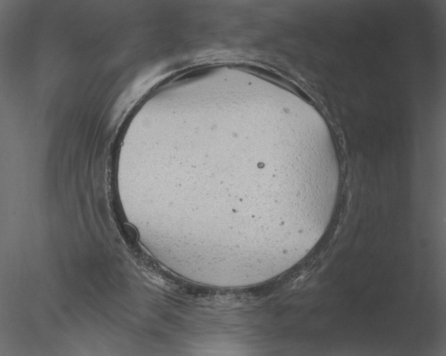 X0000076390103200611031705