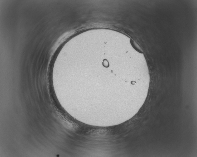 X0000076390104200611031705