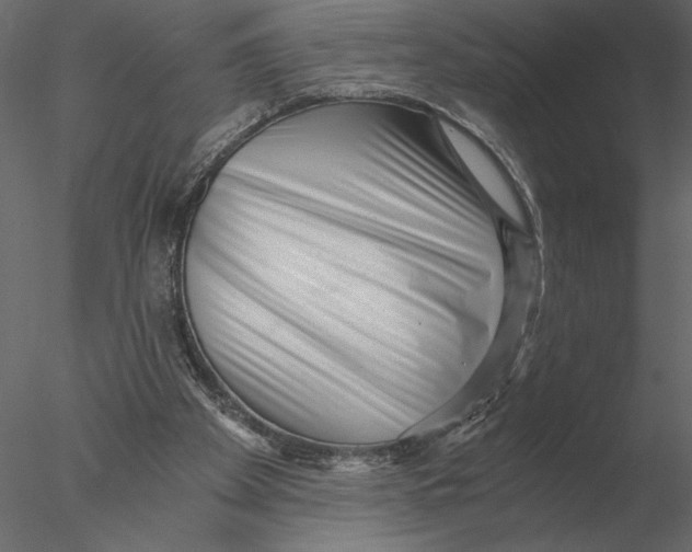 X0000076390105200611031705