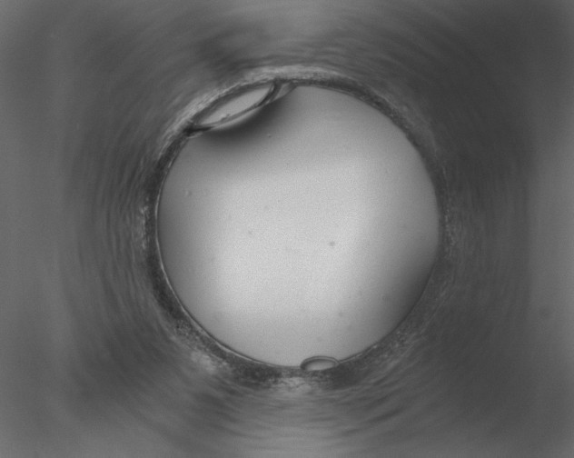 X0000076390111200611031705