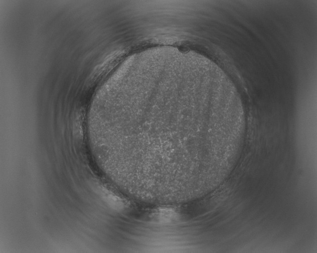 X0000076390114200611031705