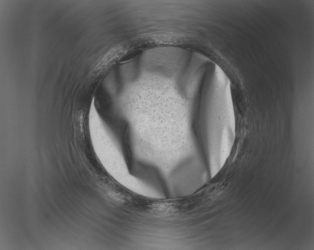 X0000076390117200611031705