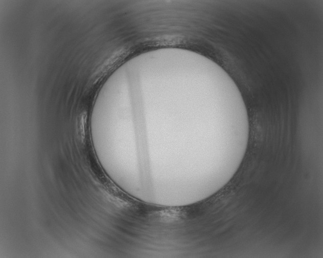 X0000076390118200611031705