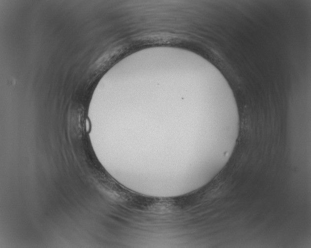 X0000076390119200611031705