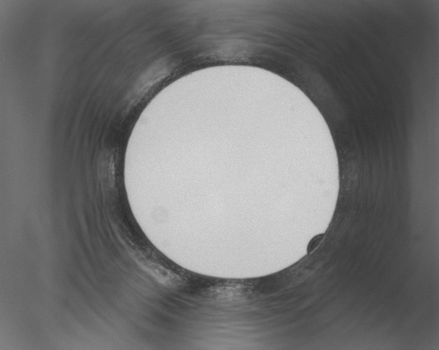 X0000076390120200611031705